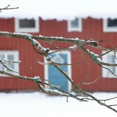 Stemningsbillede foran laden